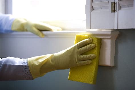 7 Must Have Cleaning Tools Every Home Should Have Homelization