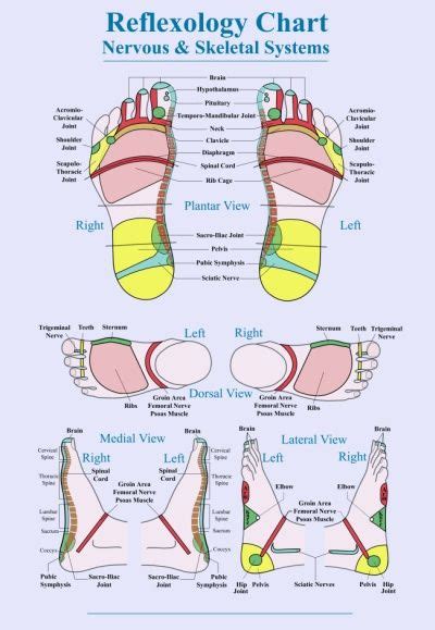 What Is Reflexology And How Can It Help With Current Health Conditions