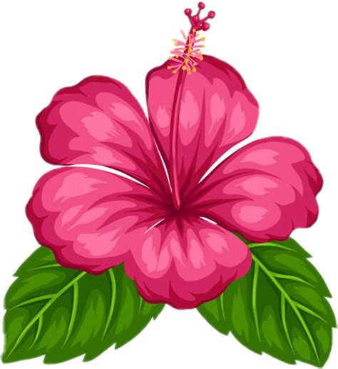 Álbumes 92 Foto Dibujos A Lapiz De Flores Hawaianas Lleno