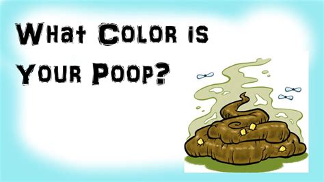What Does The Color Of Your Poop Mean Youtube