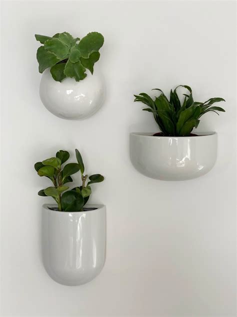 rise ceramic wall planters