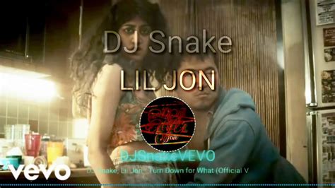 Dj Snake Lil Jon Turn Down For What Official Video Youtube