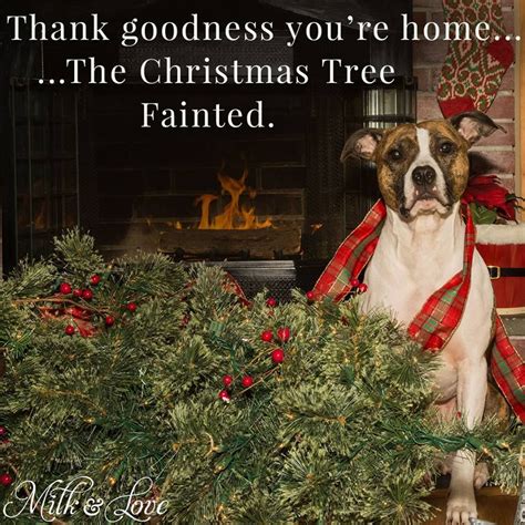 Thank Goodness You Re Home Christmas Christmas Quotes Christmas Humor Christmas Images Funny