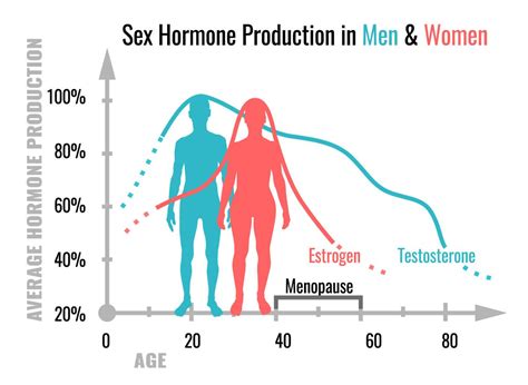 Healthorganization On Twitter Sex Hormone Production In Men And Women