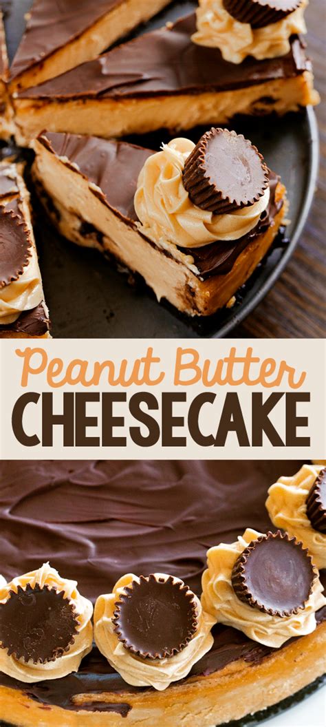peanut butter cheesecake chocolate covered katie juicygoofy