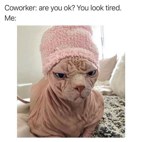 Coworker Are You Ok You Look Tired Me Ifunny