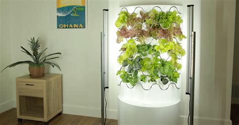 Grow Up To 30 Fruits And Veggies With Hydroponic Indoor Garden