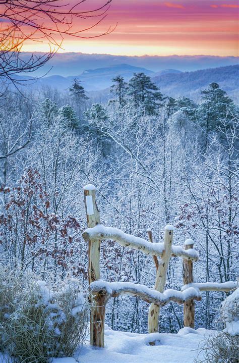 Snow Trail Photograph By Joye Ardyn Durham Fine Art America