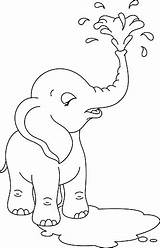 Elephant Coloring Baby sketch template