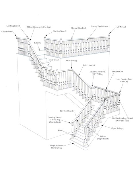 Anatomy Of A Staircase Anatomical Charts And Posters
