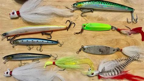 Baits And Lures To Use To Catch Striped Bass