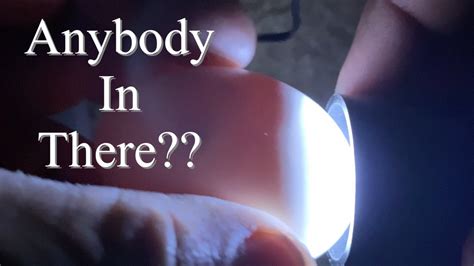 A community firmly devoted to the belief that mandarin ducks are the next puppies and kittens. Hatching Mandarin Duck Eggs! is there life inside? - YouTube