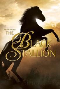 Terdapat banyak pilihan penyedia file pada halaman tersebut. The Black Stallion (1979) - Rotten Tomatoes