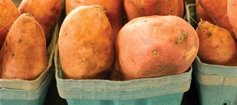 52 ways to love sweet potatoes north carolina sweet potatoes