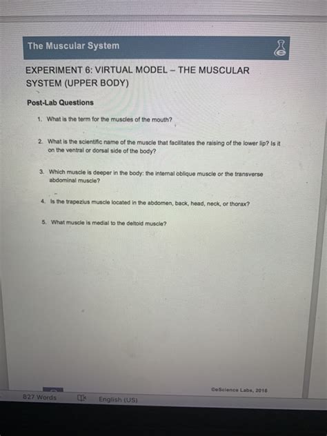 Name the 4 quadriceps muscles! Solved: The Muscular System EXPERIMENT 6: VIRTUAL MODEL TH ...