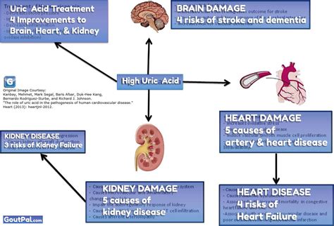 Typically, you don't hope that one of your body parts will become. How Gout can Kill You | GoutPal Gout Facts
