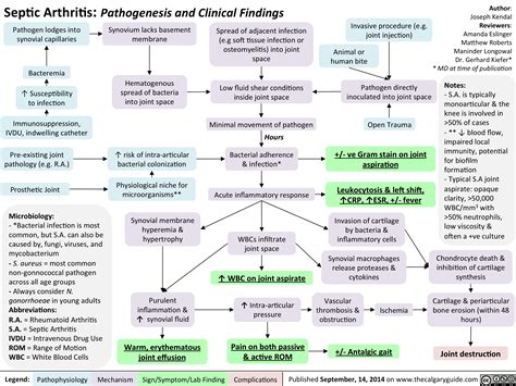 Septic Arthritis Pathogenesis And Clinical Findings Notes Grepmed