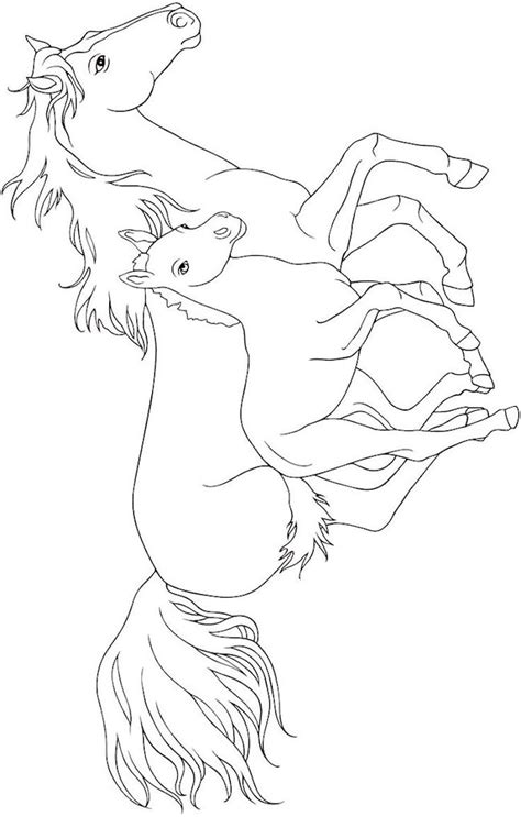 horse coloring pages ideas  pinterest adult coloring pages printable adult
