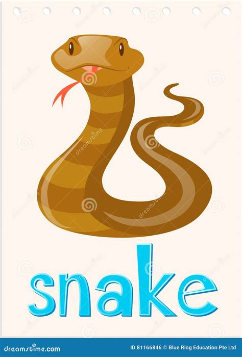 Wordcard With Wild Snake Stock Vector Illustration Of Object 81166846