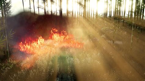 Wind Blowing On A Flaming Bamboo Trees During A Forest Fire 6165487