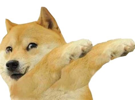 Shiba Inu Doge Meme Png Photos Png Mart