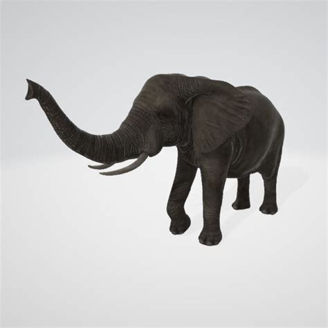 Elephant Free 3d Model Cgtrader