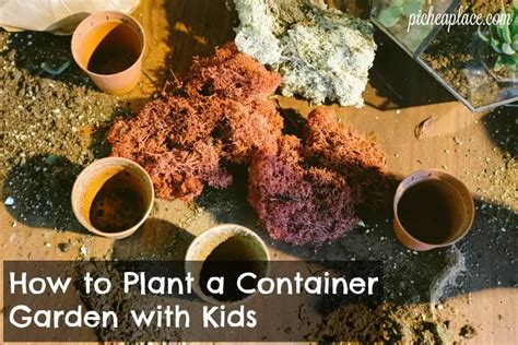 How To Plant A Container Garden With Kids