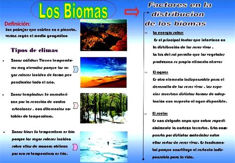 Qu Es Un Bioma Resumen Corto Blog Did Ctico