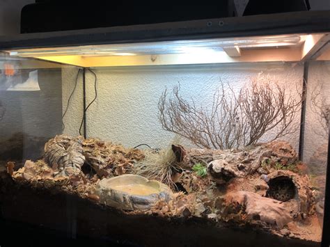 Leopard Gecko Terrarium Snake Terrarium Fish Tank Terrarium