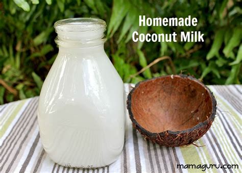 Homemade Coconut Milk Recipe Mamaguru