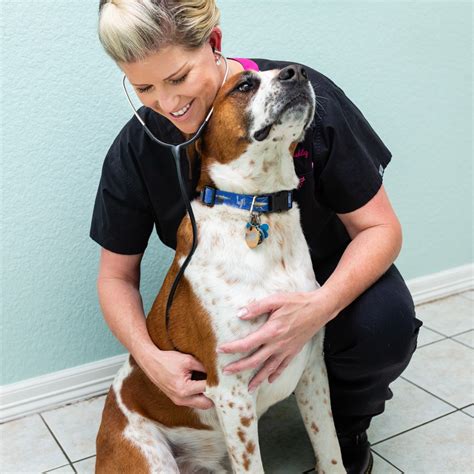 Brazos Woods Veterinary Clinic Home