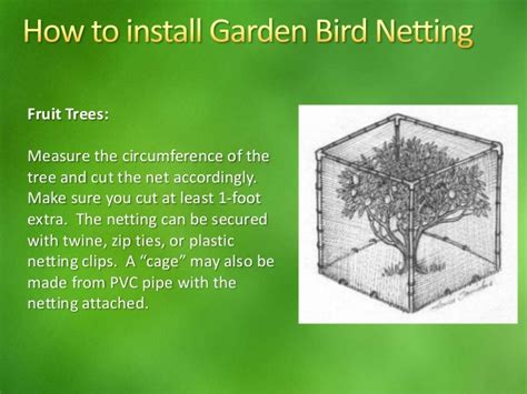 Great for protecting fish ponds. Garden Bird Netting