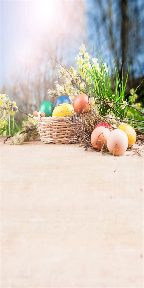 Easter festive background with colored eggs, easter gingerbreads and bokeh overlay on pink backdrop. HUAYI Easter backdrops for photography photo backdrop ...