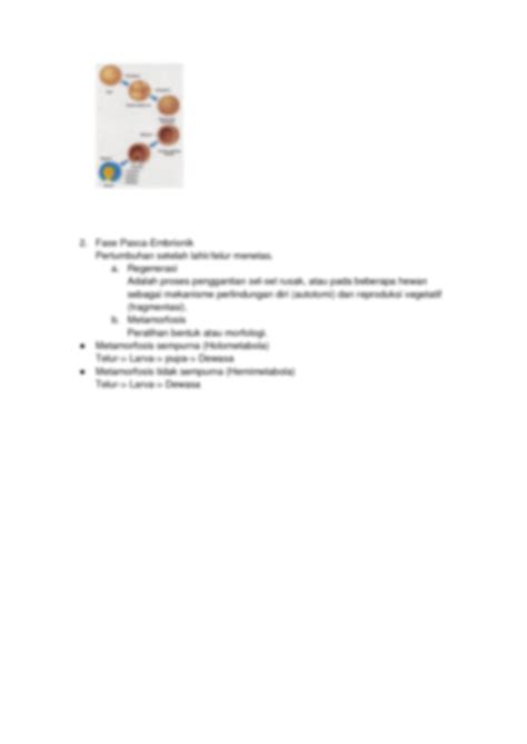 SOLUTION: Ringkasan materi pertumbuhan dan perkembangan kelas 12 sma