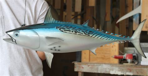Bonito Tuna Fish Replica Mounted Fish Fish Trophy