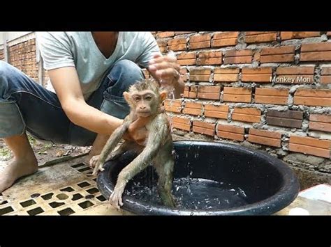 7 on your side puts infant neck floats to the test. First Time Dad Take A Bath For Baby Mor, Mori So Much ...