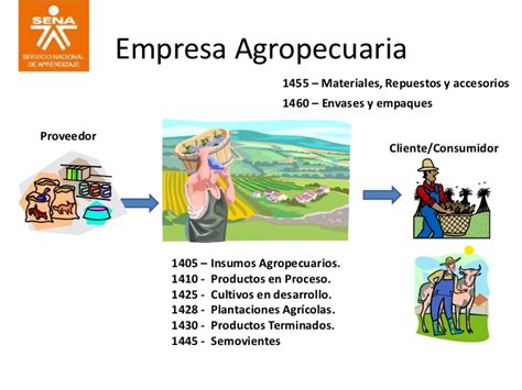 Ejemplos De Empresas Agropecuarias Hot Sex Picture