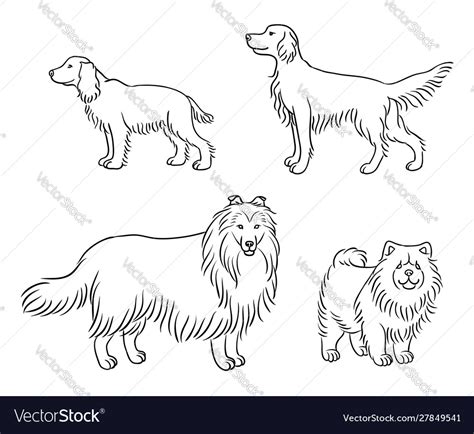 Dogs Different Breeds In Outlines Set4 Royalty Free Vector