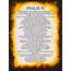 Psalm 91 Poster A4 Bible  Etsy