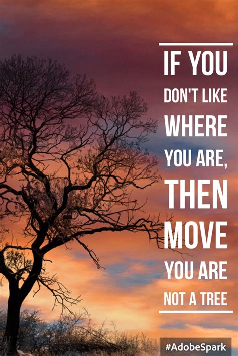 Qotw If You Dont Like Where You Are Then Move You Are Not A Tree