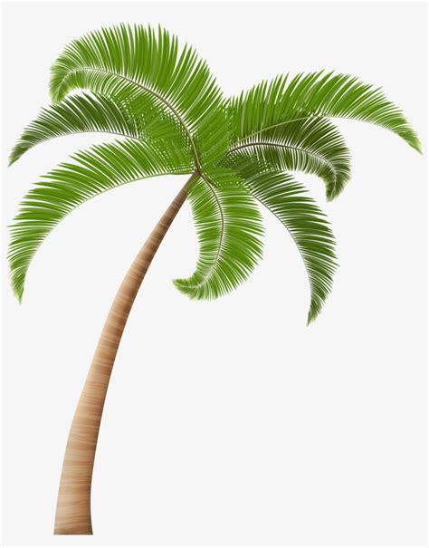 Palm Tree Png Palm Trees Hawaiian Clip Art Palm Palm Tree Clipart
