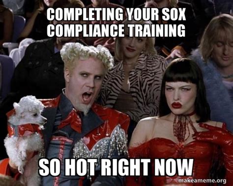 Completing Your Sox Compliance Training So Hot Right Now So Hot Right Now Make A Meme
