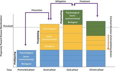 Precipitating Factors Definition And Examples Biology Online Dictionary