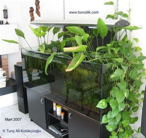 60 Marvelous Indoor Vines And Climbing Plants Decorations In 2020