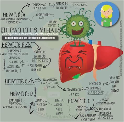 Mapas Mentais Sobre Hepatite B Study Maps