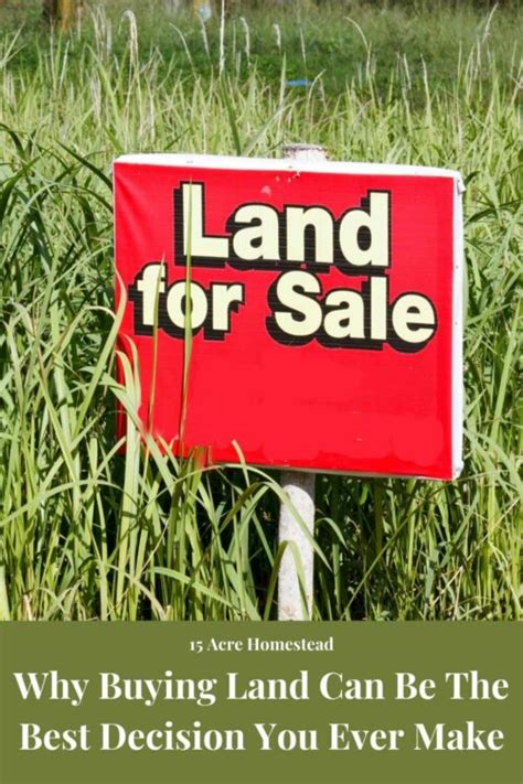 buying a plot of land the best decision 15 acre homestead