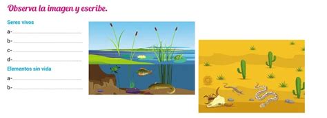 Ecosistemas acuáticos y terrestres Escolar ABC Color