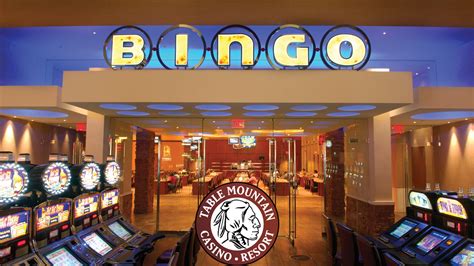 Table Mountain Bingo Experience Thrilling Wins And Fun