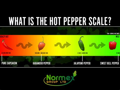 Scoville Scale What Is The Hot Pepper Scale Normex Group Hk Stuffed Hot Peppers Pepper