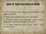 Bed Bug Spray Rubbing Alcohol Images